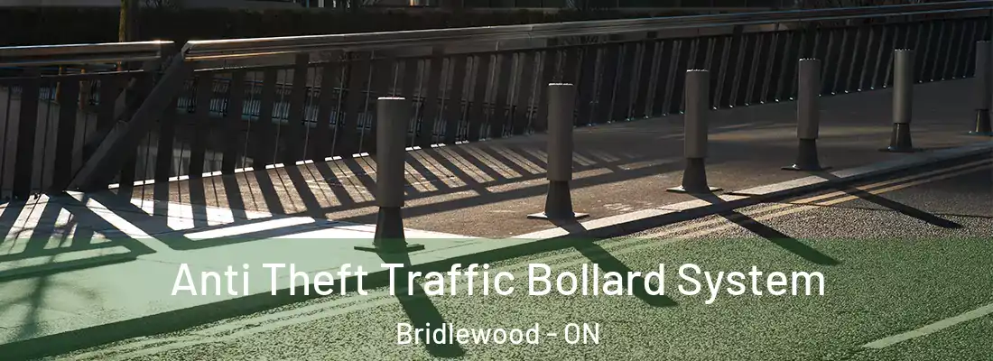  Anti Theft Traffic Bollard System Bridlewood - ON