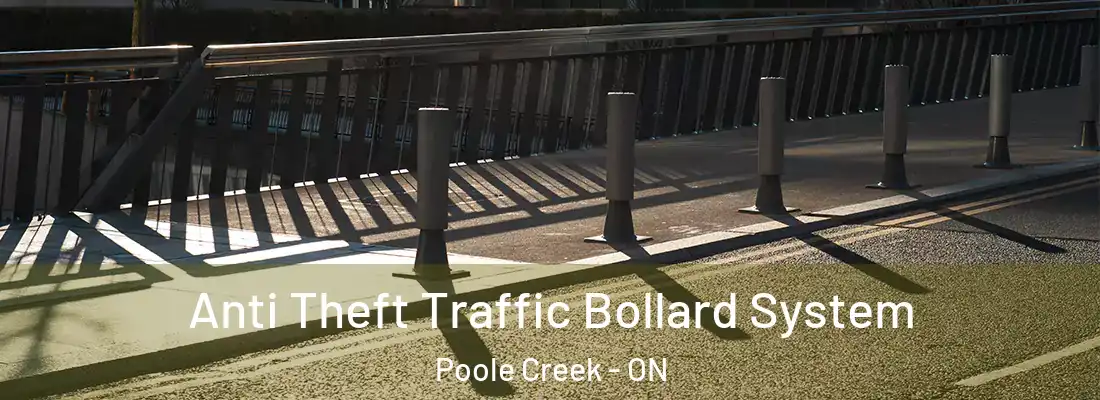  Anti Theft Traffic Bollard System Poole Creek - ON