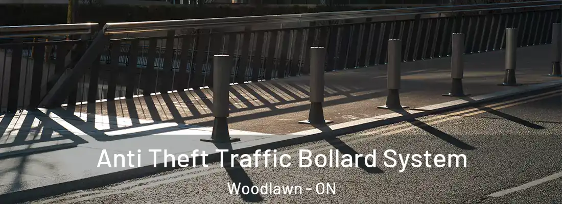  Anti Theft Traffic Bollard System Woodlawn - ON