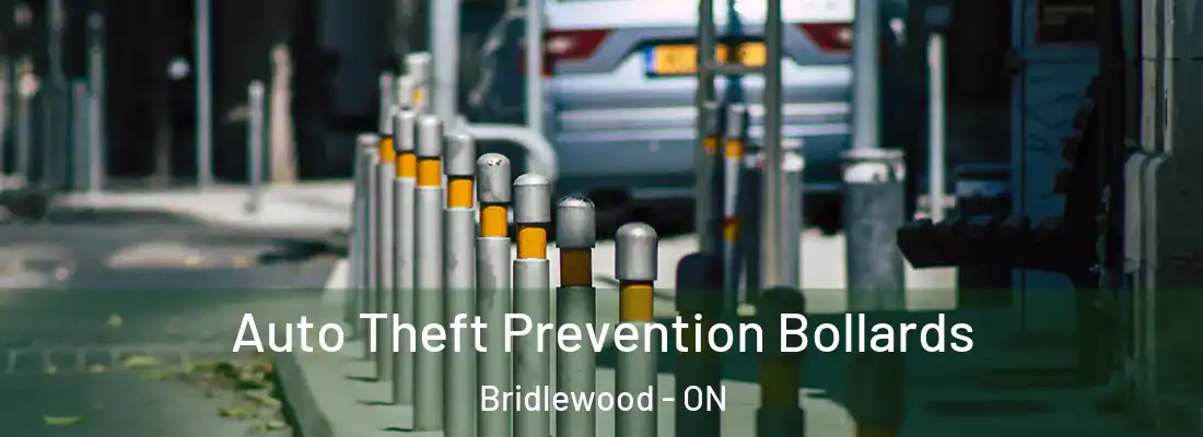  Auto Theft Prevention Bollards Bridlewood - ON