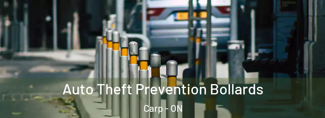  Auto Theft Prevention Bollards Carp - ON