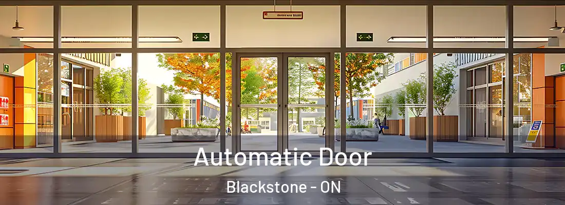  Automatic Door Blackstone - ON