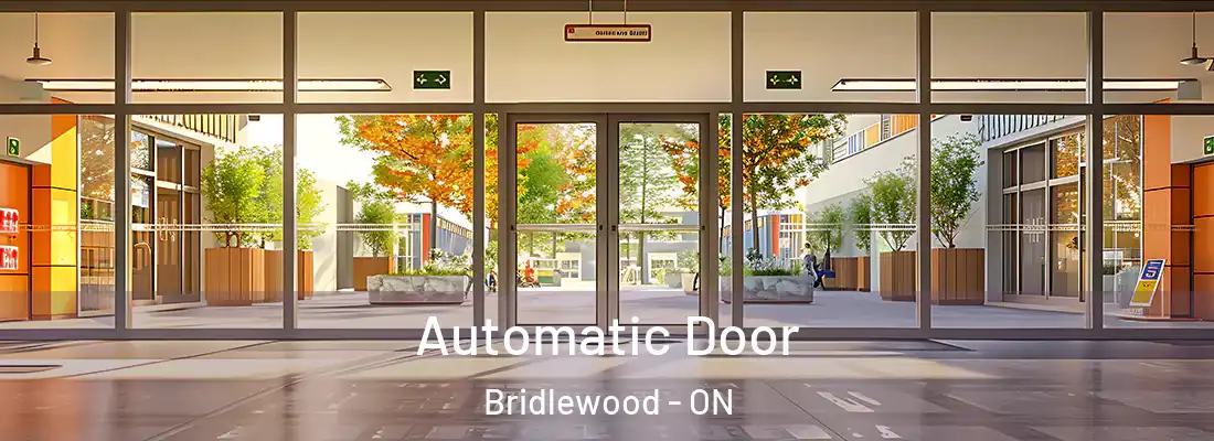  Automatic Door Bridlewood - ON