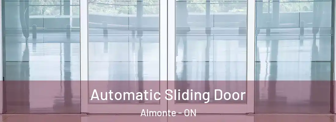  Automatic Sliding Door Almonte - ON