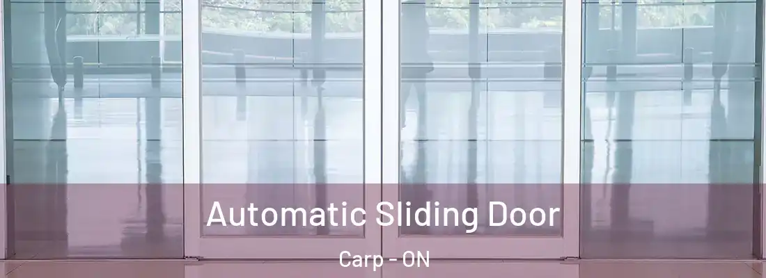  Automatic Sliding Door Carp - ON