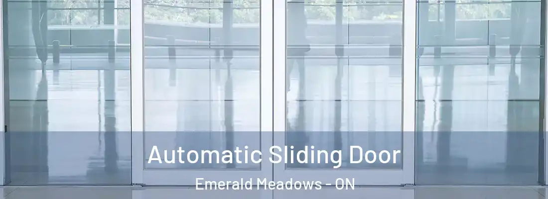  Automatic Sliding Door Emerald Meadows - ON