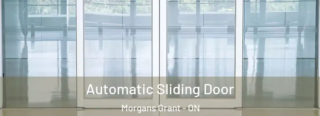  Automatic Sliding Door Morgans Grant - ON