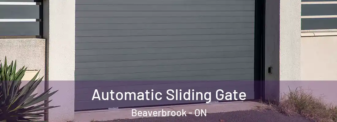  Automatic Sliding Gate Beaverbrook - ON