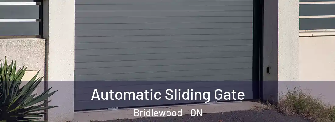  Automatic Sliding Gate Bridlewood - ON