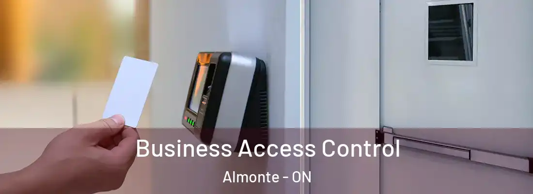  Business Access Control Almonte - ON