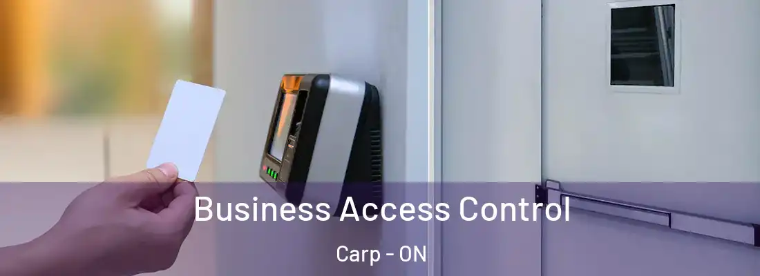  Business Access Control Carp - ON