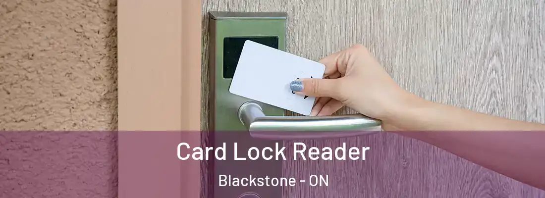  Card Lock Reader Blackstone - ON