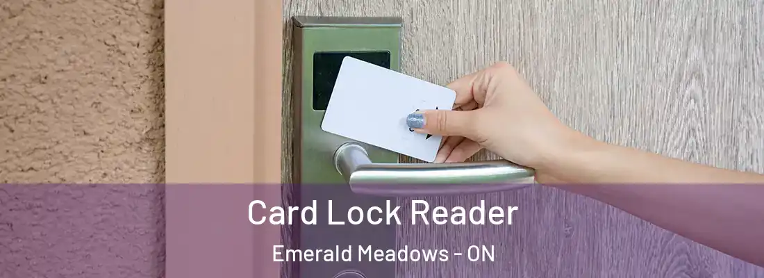  Card Lock Reader Emerald Meadows - ON