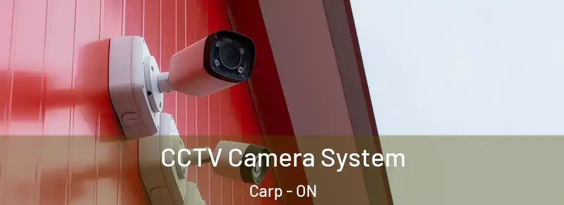  CCTV Camera System Carp - ON