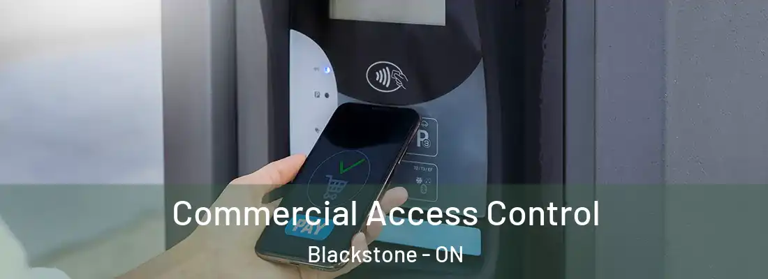  Commercial Access Control Blackstone - ON