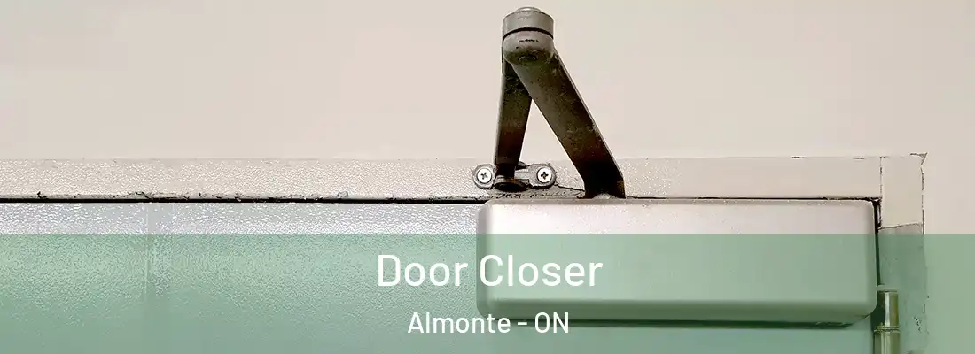  Door Closer Almonte - ON