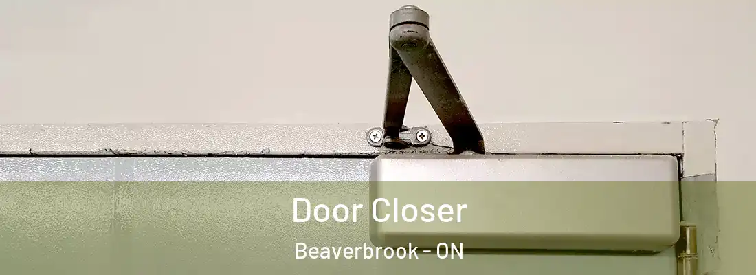  Door Closer Beaverbrook - ON