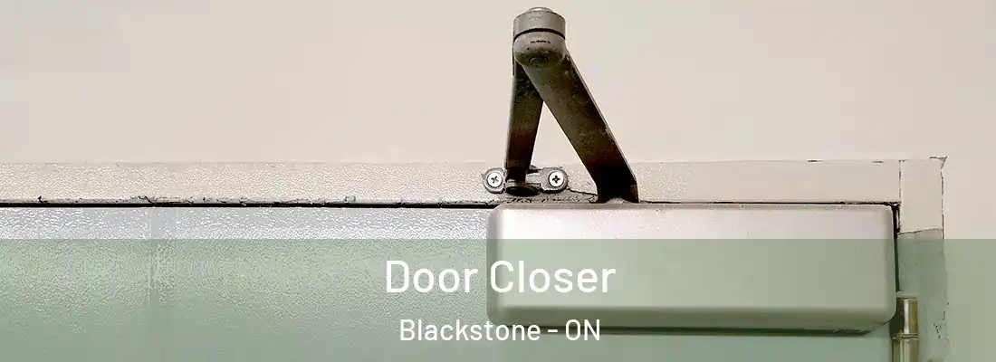  Door Closer Blackstone - ON