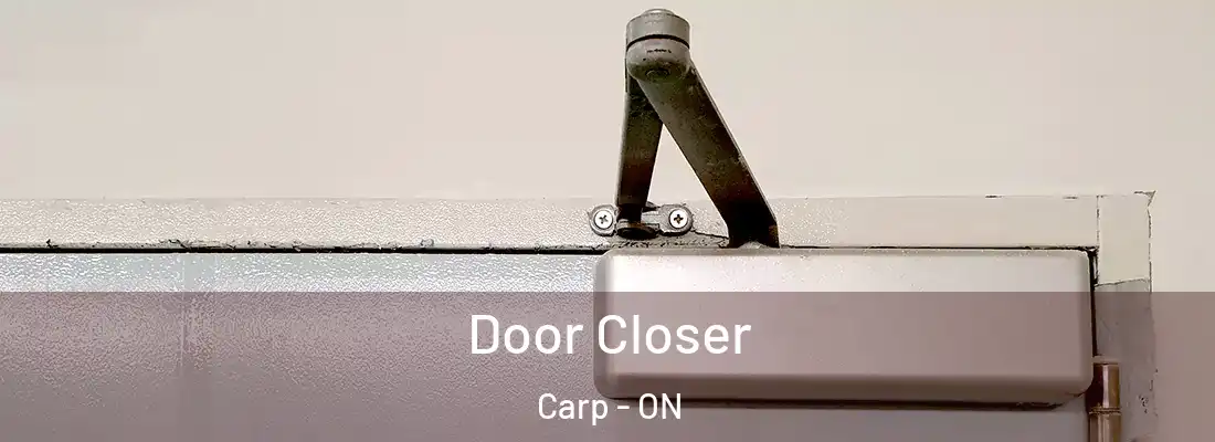  Door Closer Carp - ON