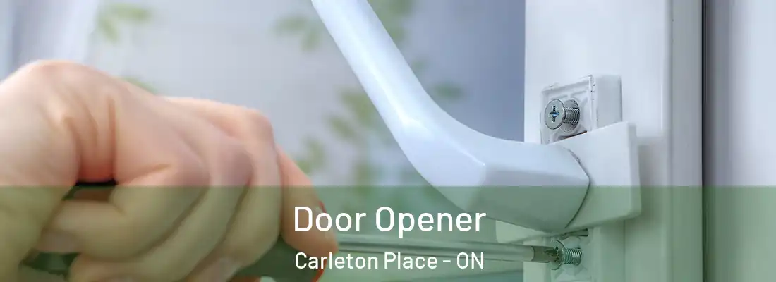  Door Opener Carleton Place - ON