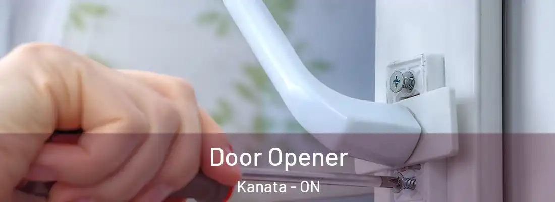  Door Opener Kanata - ON