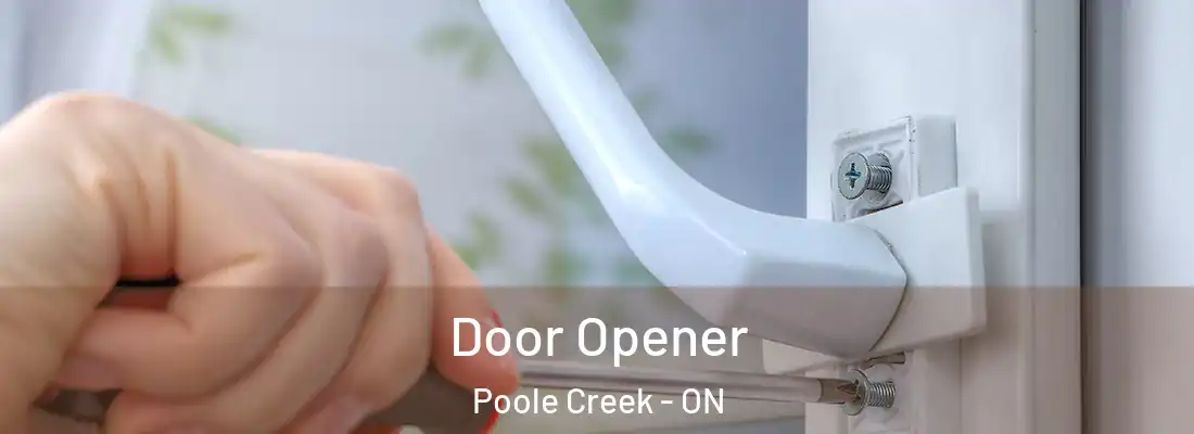  Door Opener Poole Creek - ON