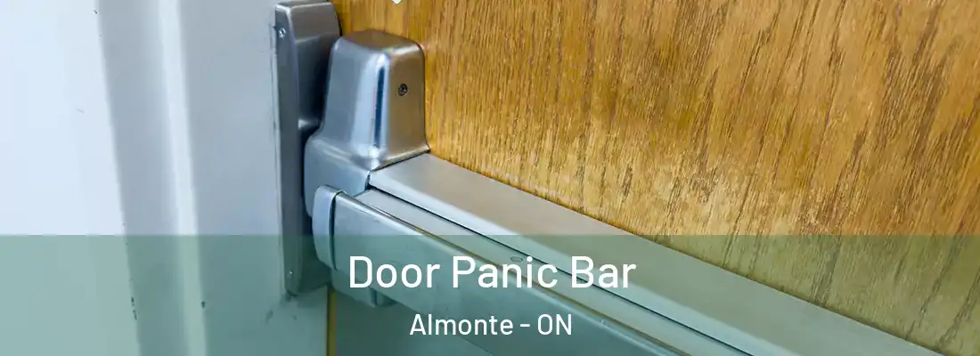  Door Panic Bar Almonte - ON