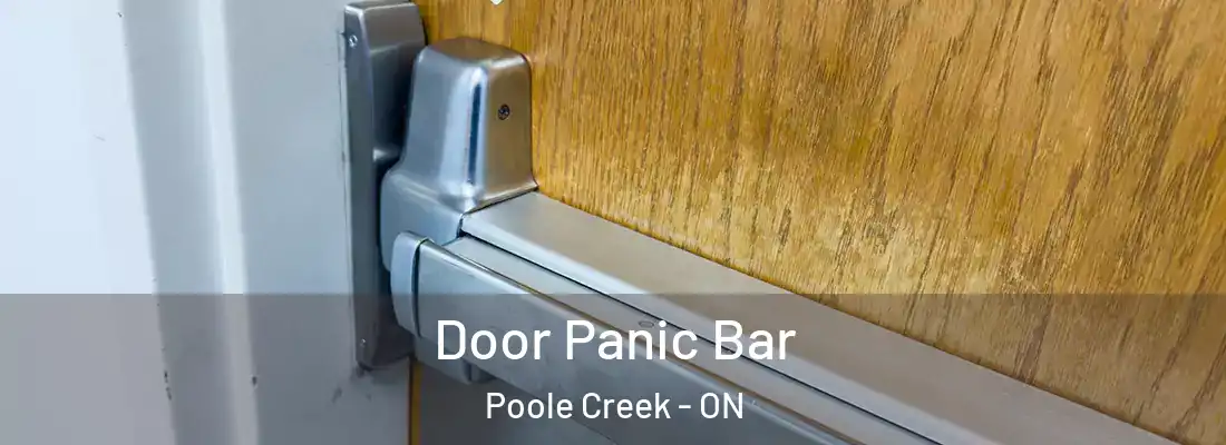  Door Panic Bar Poole Creek - ON