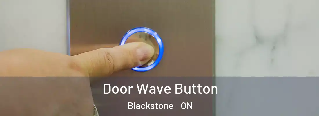  Door Wave Button Blackstone - ON