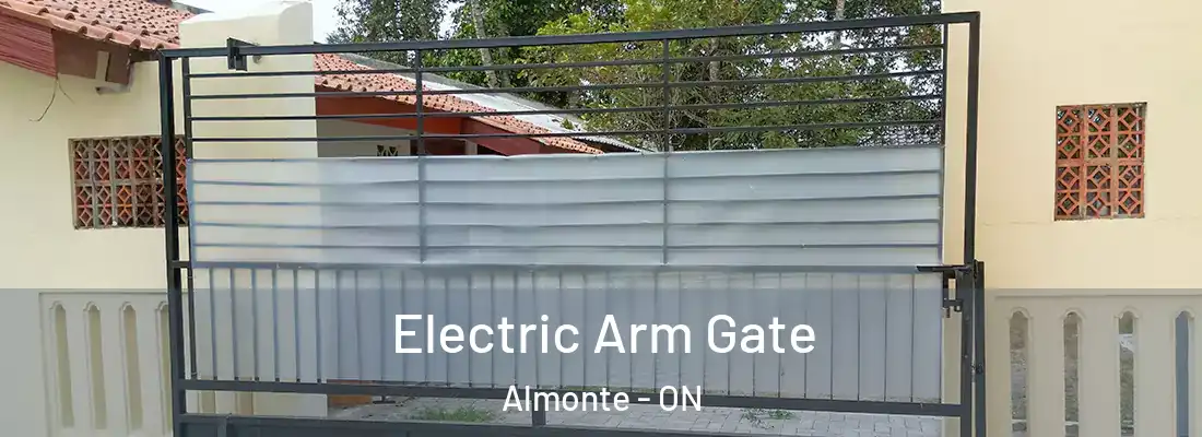  Electric Arm Gate Almonte - ON