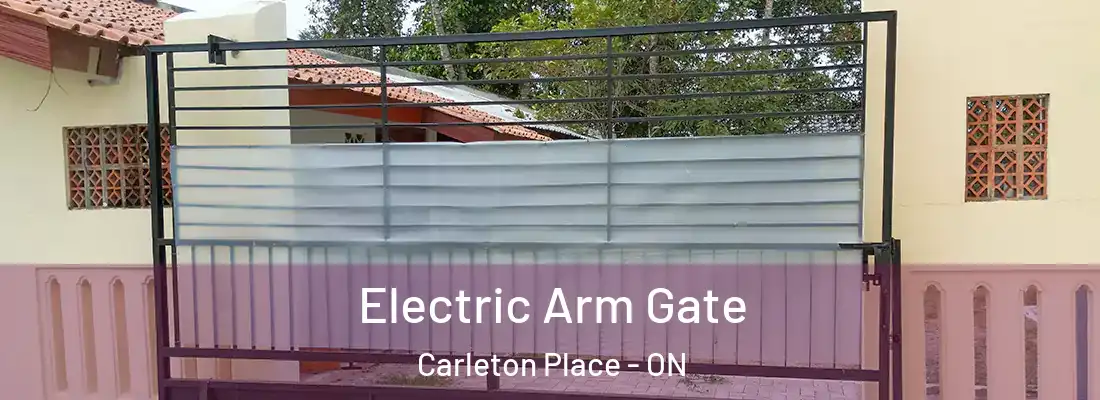  Electric Arm Gate Carleton Place - ON