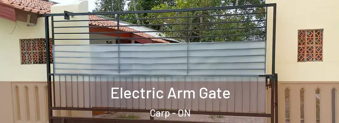  Electric Arm Gate Carp - ON