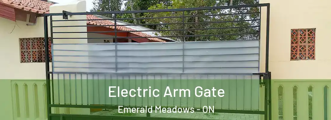  Electric Arm Gate Emerald Meadows - ON