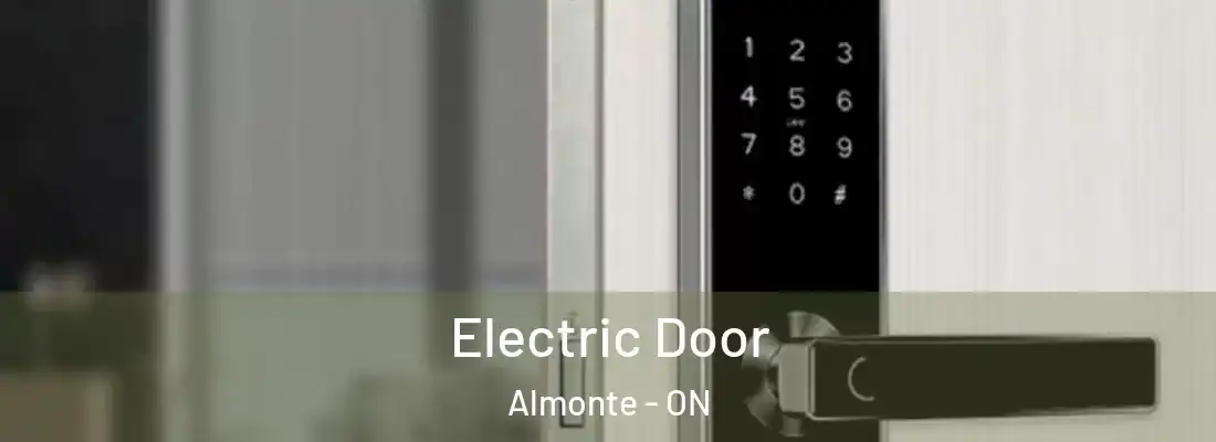  Electric Door Almonte - ON