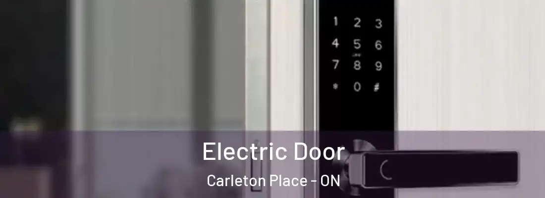  Electric Door Carleton Place - ON