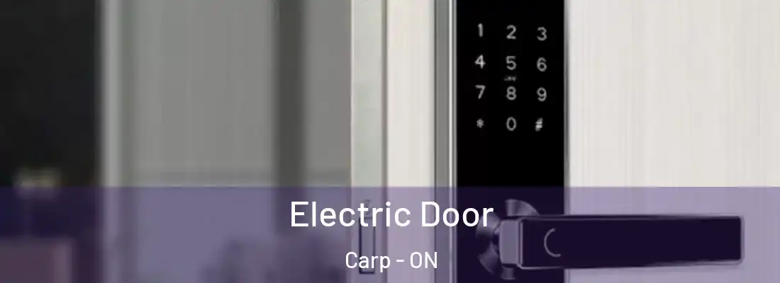  Electric Door Carp - ON
