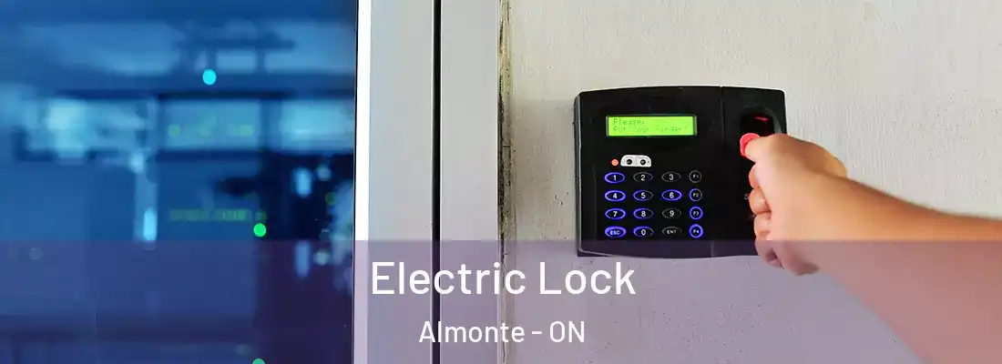  Electric Lock Almonte - ON