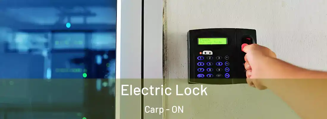  Electric Lock Carp - ON
