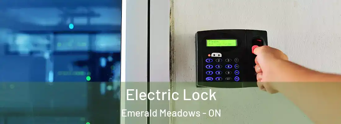 Electric Lock Emerald Meadows - ON
