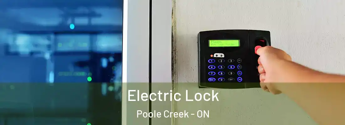  Electric Lock Poole Creek - ON