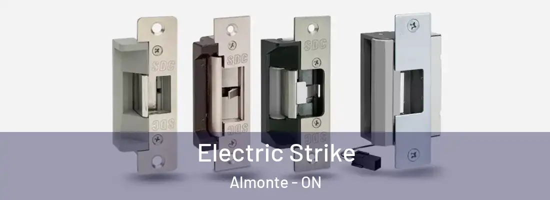  Electric Strike Almonte - ON