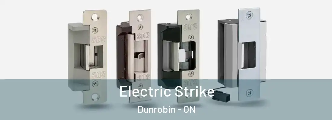  Electric Strike Dunrobin - ON