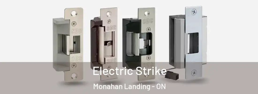  Electric Strike Monahan Landing - ON