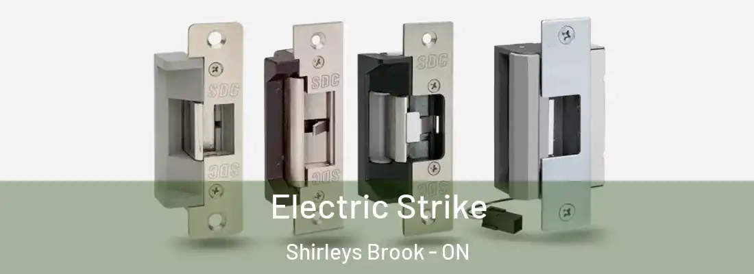  Electric Strike Shirleys Brook - ON