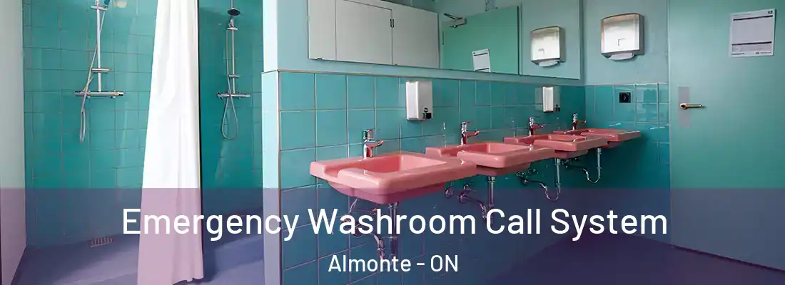  Emergency Washroom Call System Almonte - ON