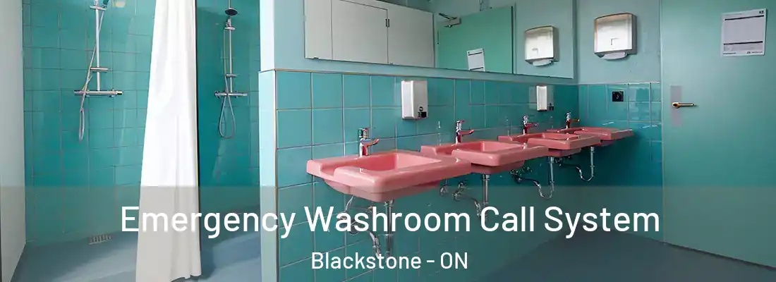  Emergency Washroom Call System Blackstone - ON