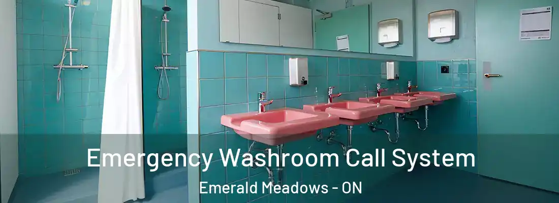  Emergency Washroom Call System Emerald Meadows - ON
