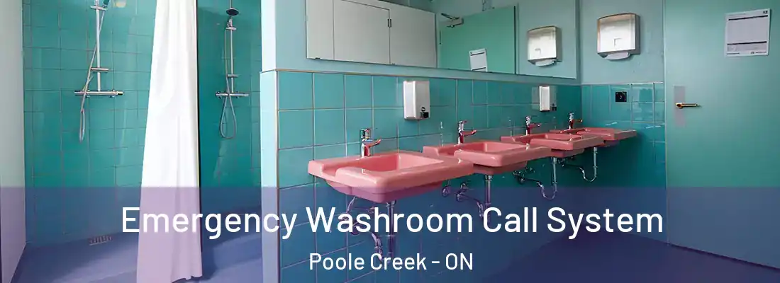  Emergency Washroom Call System Poole Creek - ON