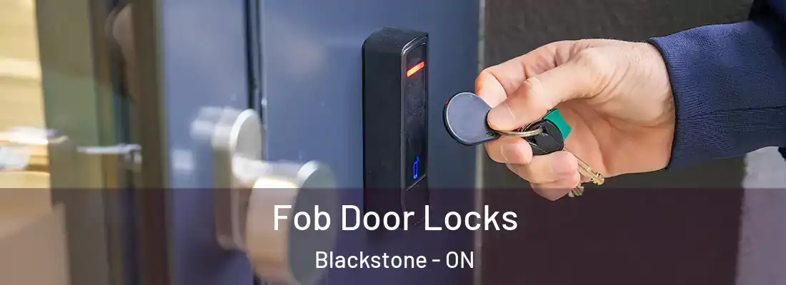  Fob Door Locks Blackstone - ON