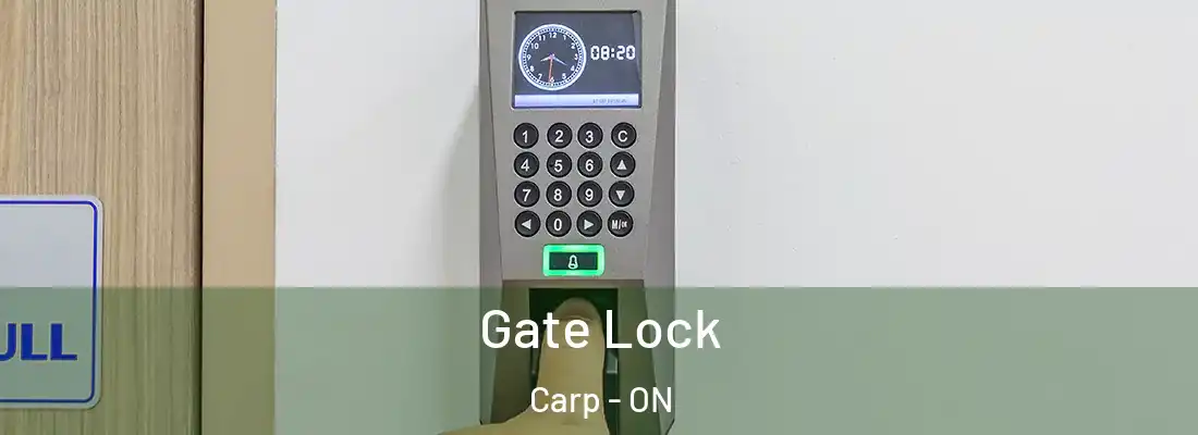  Gate Lock Carp - ON